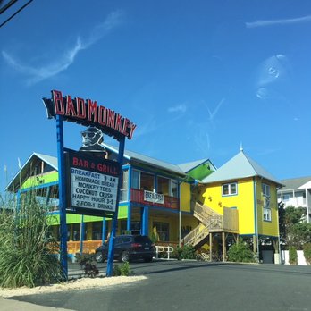 Bad Monkey - 122 Photos & 170 Reviews - Burgers - 5801 Coastal Hwy