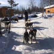 ... Photo of Fairbanks Dog Sled Rides - Fairbanks, AK, United States ...