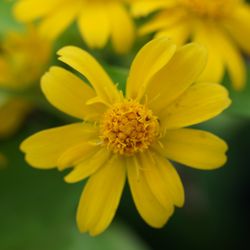 Spring Garden Farms 2019 All You Need To Know Before Go With