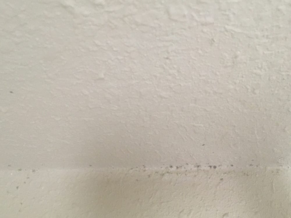 Mold In Shower Handle mold on the ceilings/air conditioning vents, broken shower handle Mold In Shower Handle mold on the ceilings/air conditioning vents, broken shower handle