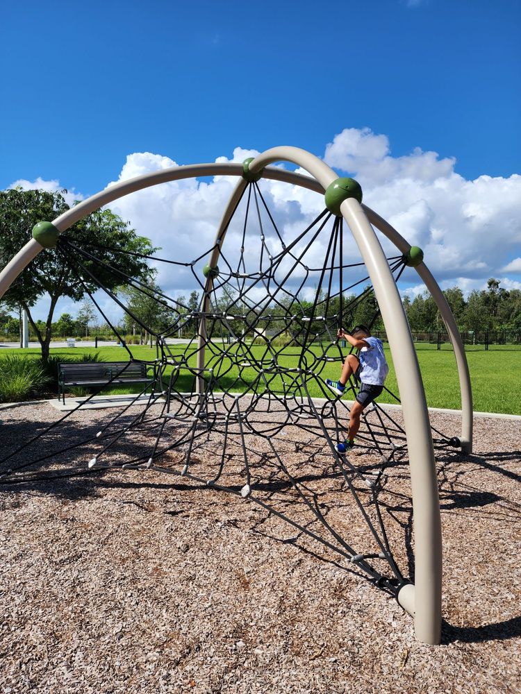 Tree Island Park Image