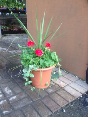 Ral Landscaping Garden Center 6616 W Lincoln Hwy Crown Point In Legal Help Ral Landscaping Garden Center