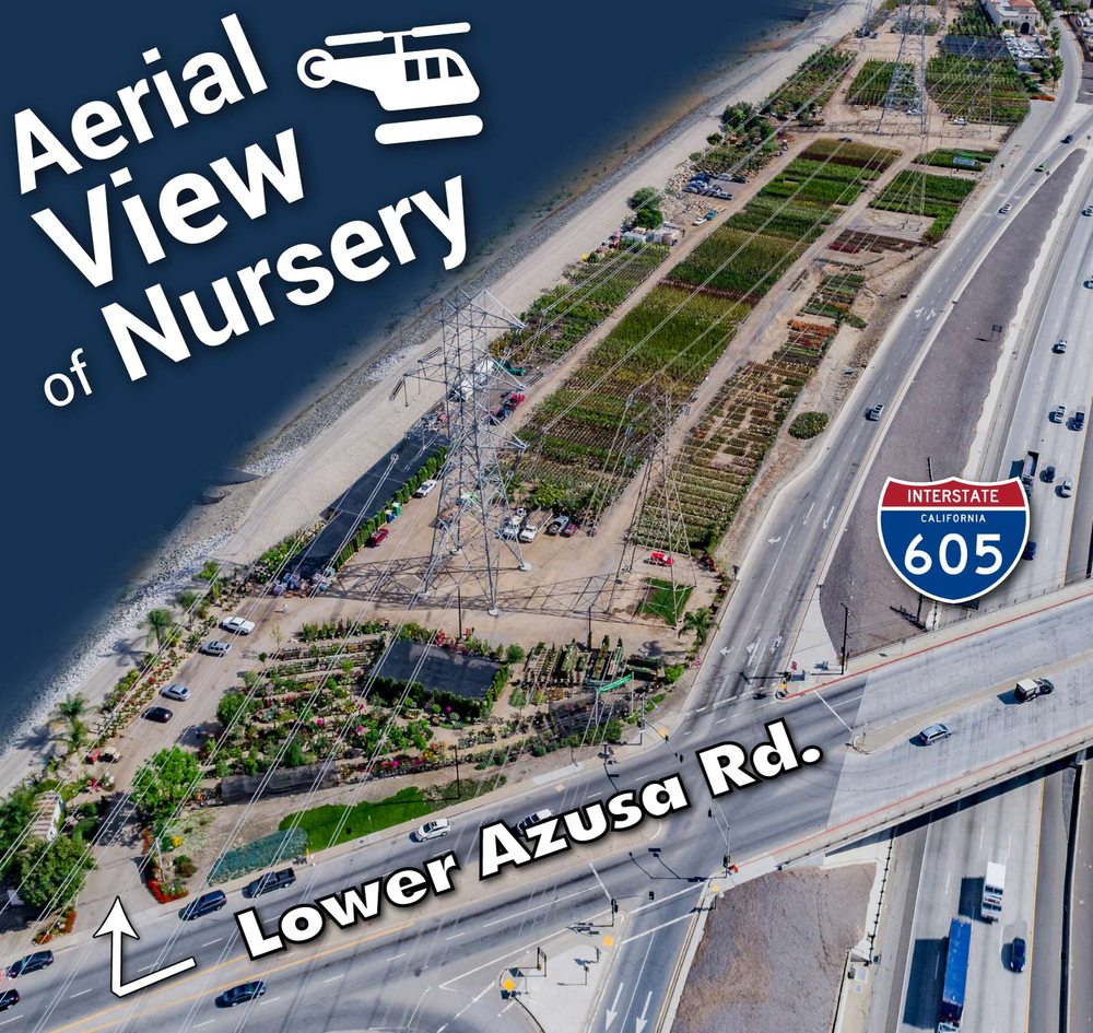 Aerial View Of Garden Nursery Off The 605 Freeway In Irwindale Photo Of Garden View Nursery Irwindale Ca United States Aerial