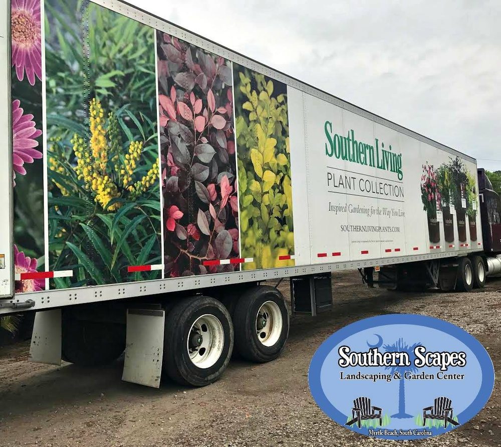Southern Scapes 16 Photos Landscaping 1310 Hwy 501 Myrtle Southern Scapes 16 Photos Landscaping 1310 Hwy 501 Myrtle Beach Sc Phone Number Last Updated December 10 2018 Yelp