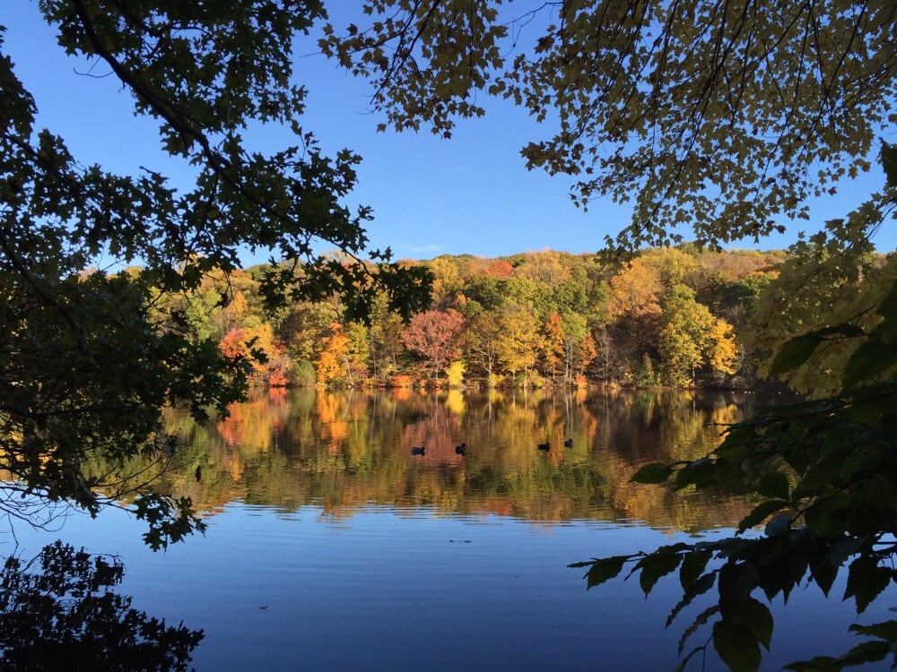 Rockefeller State Park Preserve 124 Photos & 37 Reviews Parks 125