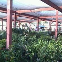 Photos For Yuma Nursery Supply Yelp Photo Of Yuma Nursery Supply Az United States