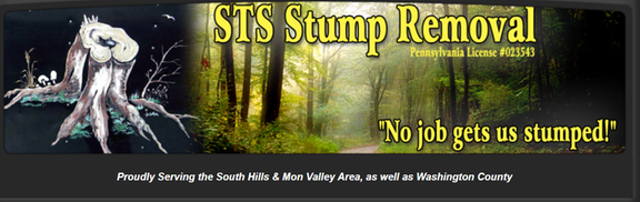 STS Stump Removal