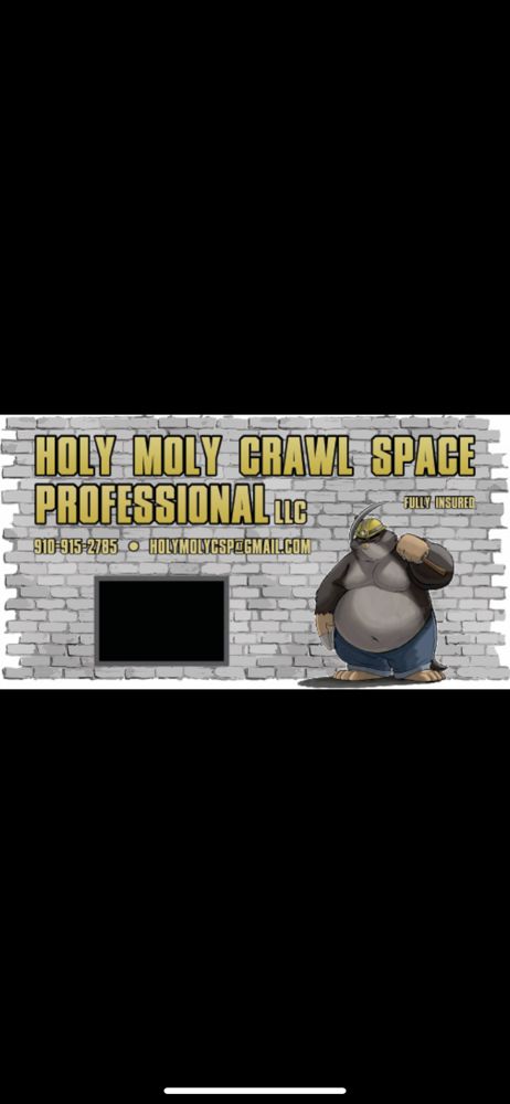Holy Moly Crawl Space Repair