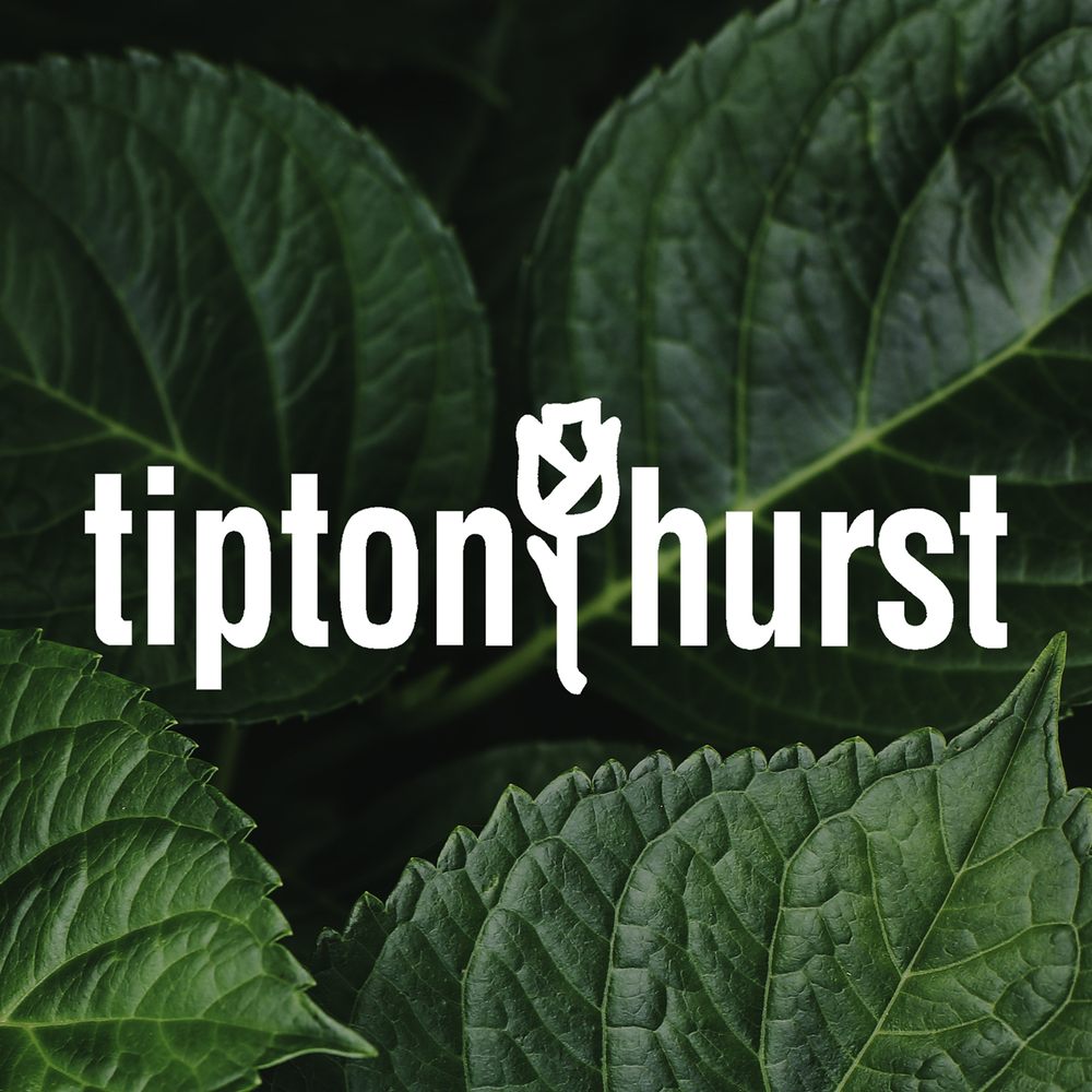 Tipton & Hurst