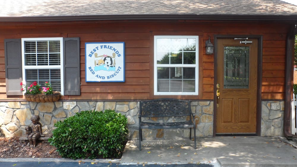 Best Friends Bed & Biscuit 10 Reviews Pet Sitting 6980 Spencer