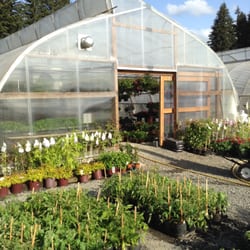 Cascade Greenhouse 18 Photos Nurseries Gardening 6005 Ne Photo Of Cascade Greenhouse Vancouver Wa United States