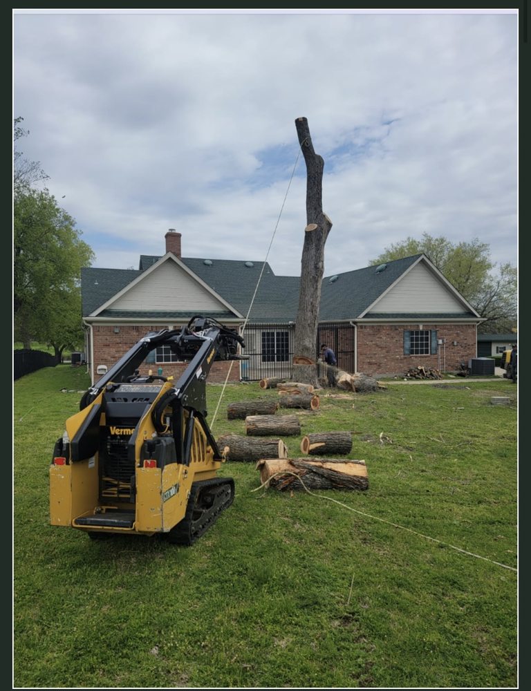 Wood Work Tree Service Dfw