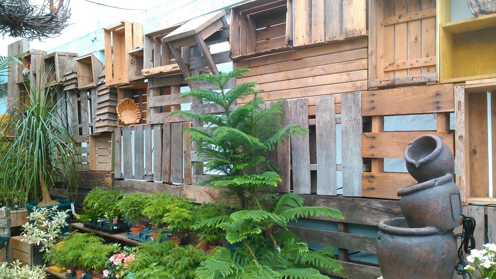 Pallet Wall In The Jungle At My Garden Nursery Bellingham