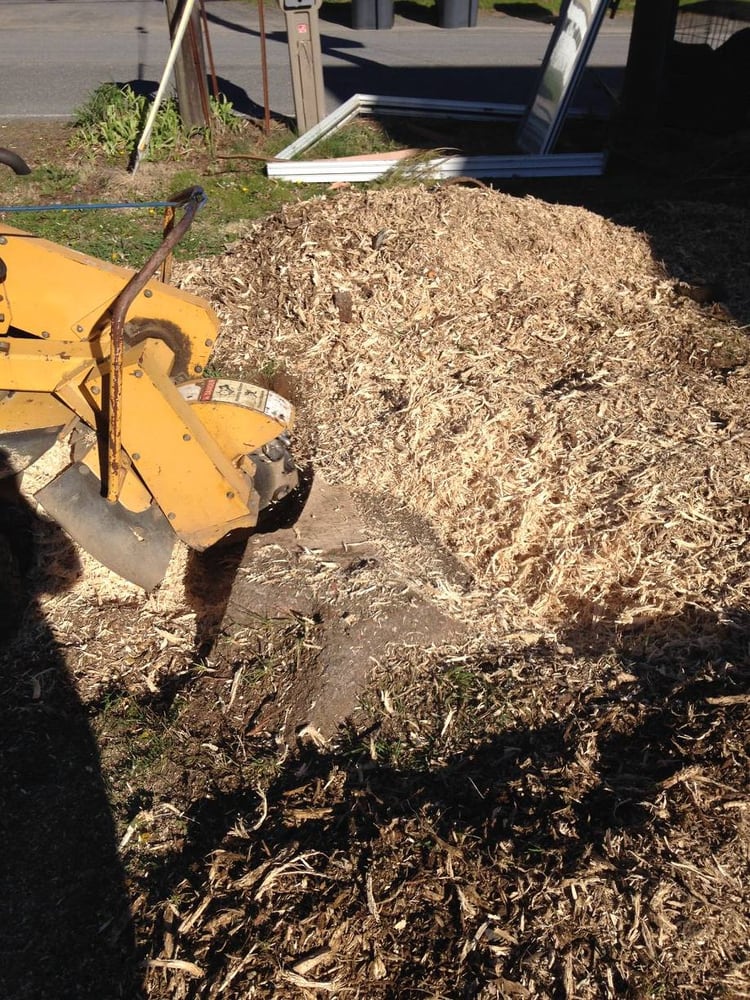 Valley Tree Experts
