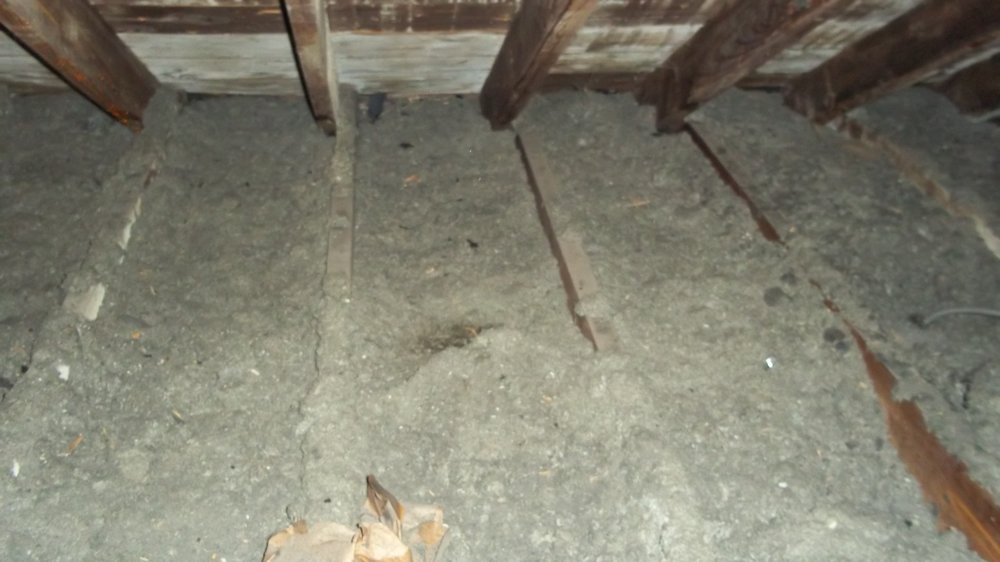 Old Attic Insulation Attic Insulation Restoration Wet