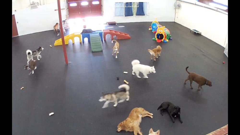 Gibson’s Natural Pet 20 Photos & 10 Reviews Pet Stores 994