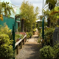 Parkhall Garden Centre Nurseries Gardening
