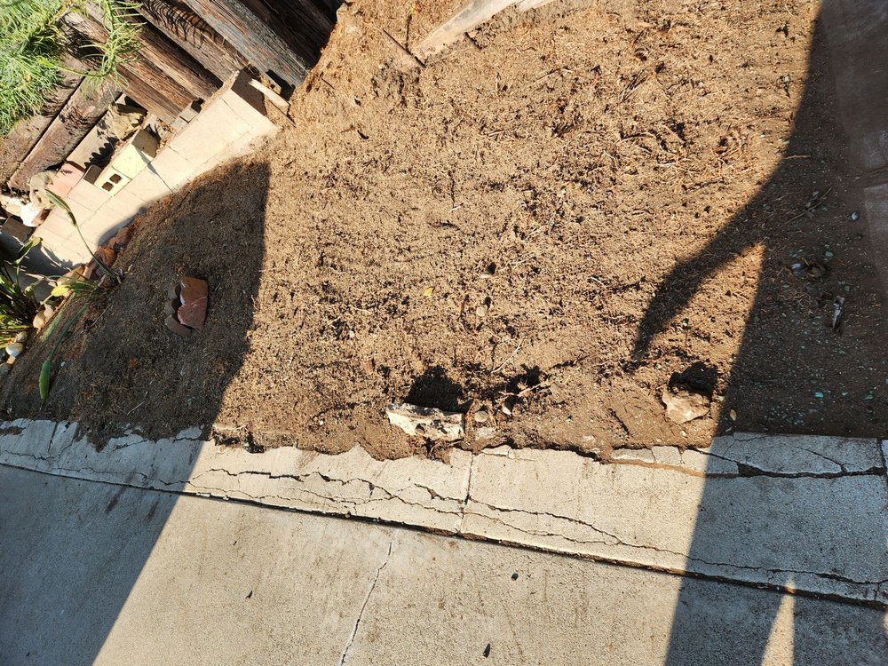 Carrillo's Landscaping & Tree Service