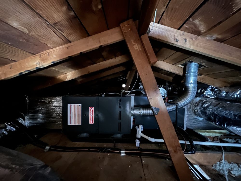 image of business Johnny