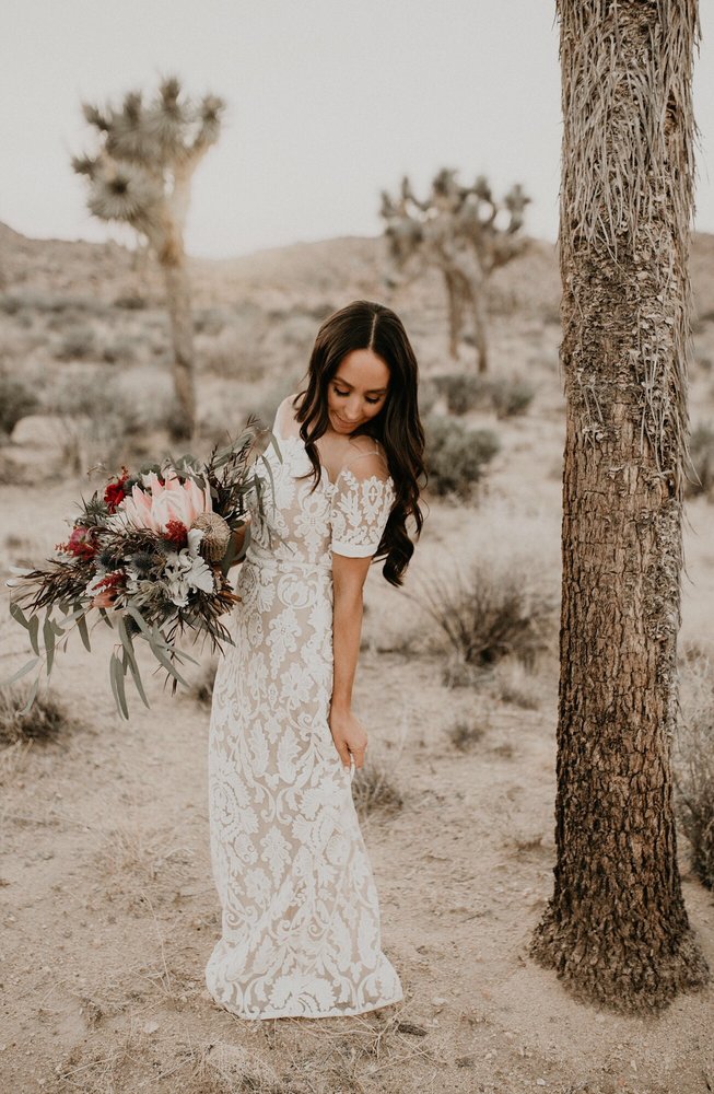 The Dress Theory