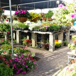 Nurseries Gardening In Wallingford Yelp Uncle Bob S Flower And Garden Center