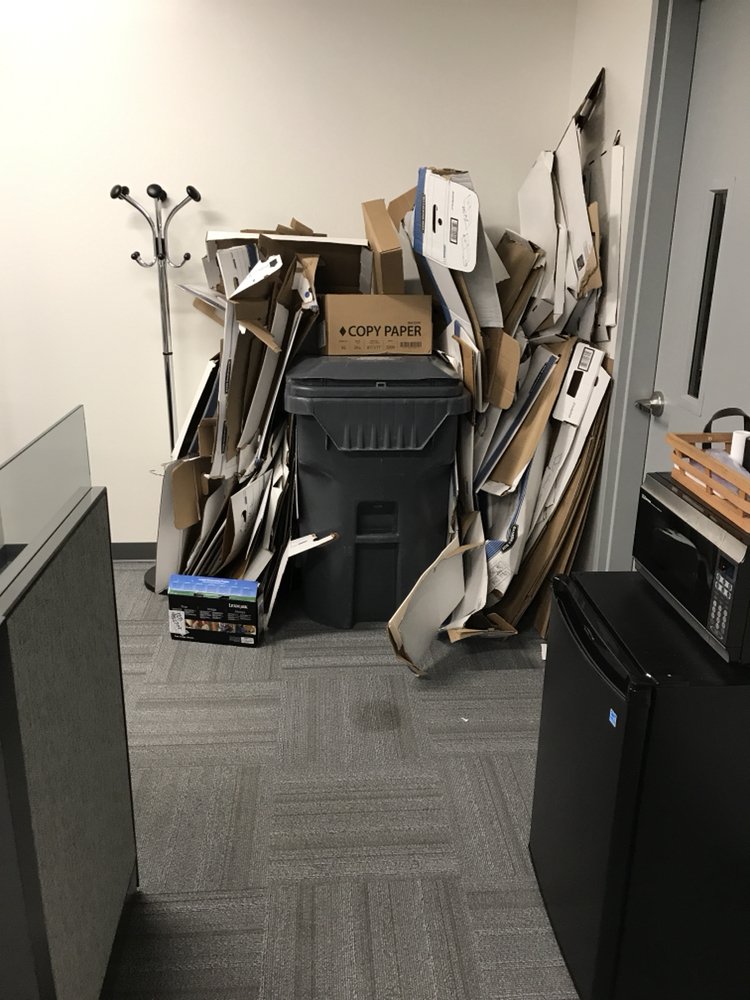 Sweep & Clean Cobwebs Plus