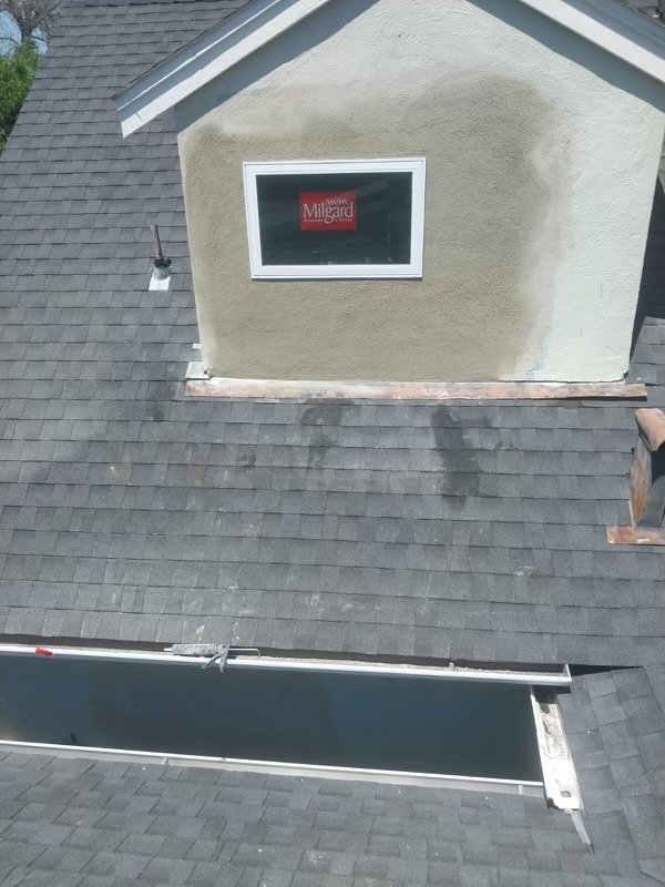 image of business Morales Plastering Construction