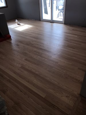 Romer S Hardwood Floor Refinishing Refinishing Services 4100 W