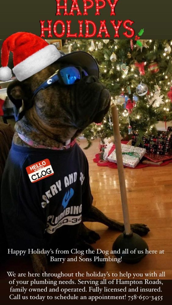 Barry and Sons Plumbing