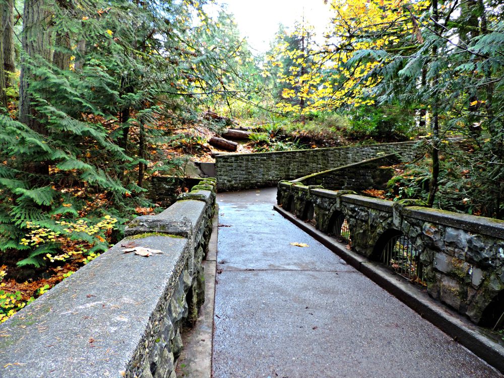 Falls Park 332 Photos & 84