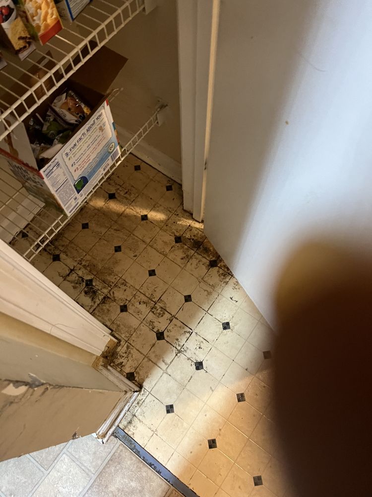 Park Avenue Properties