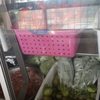 El Amigo: Taqueria & Store