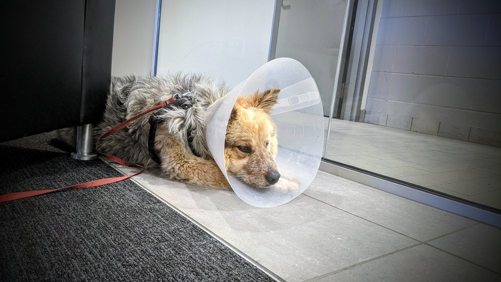 Mercedes-Benz of Northern Arizona