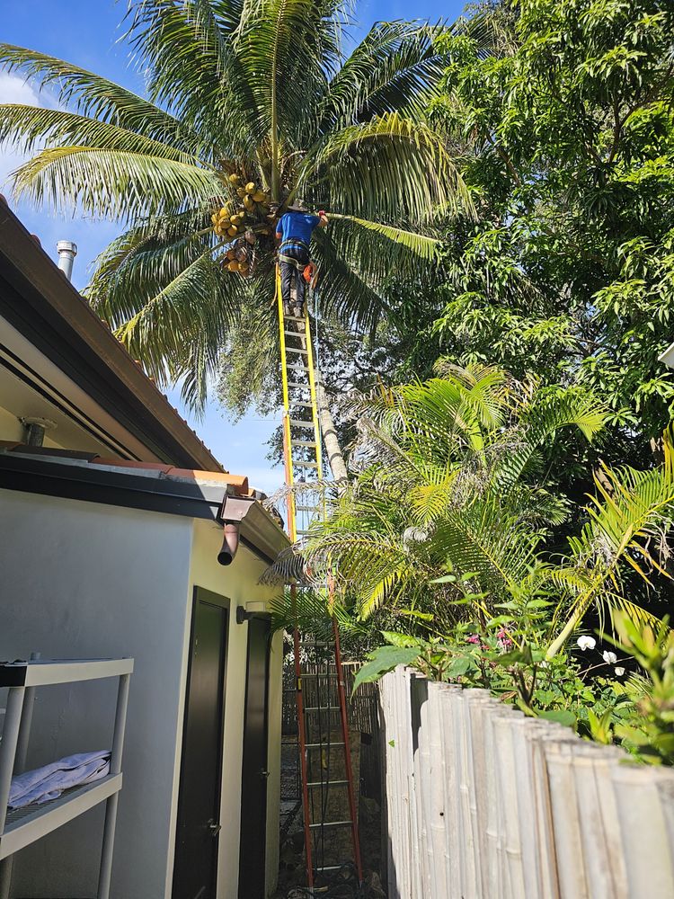Nonner Tree Services