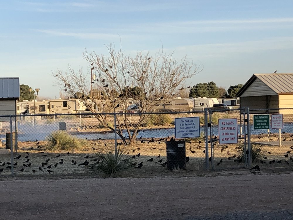 Available RV Rentals West Odessa, TX %business_name