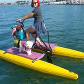 Long Beach Hydrobikes - CLOSED - 289 Photos & 439 Reviews ...