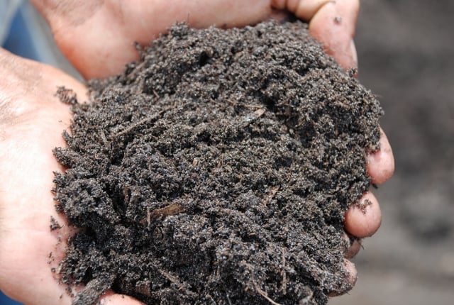 Topsoil Tampa