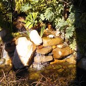 El Plantio Nursery Landscaping 59 Photos 54 Reviews Photo Of El Plantio Nursery Landscaping Escondido Ca United States