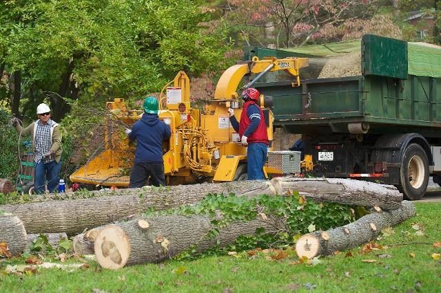 Kelley's Tree Service
