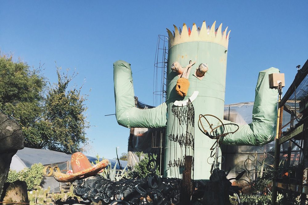 Cactus King 127 Photos & 51 Reviews Nurseries & Gardening 7900 I 45 N, Northside/Northline