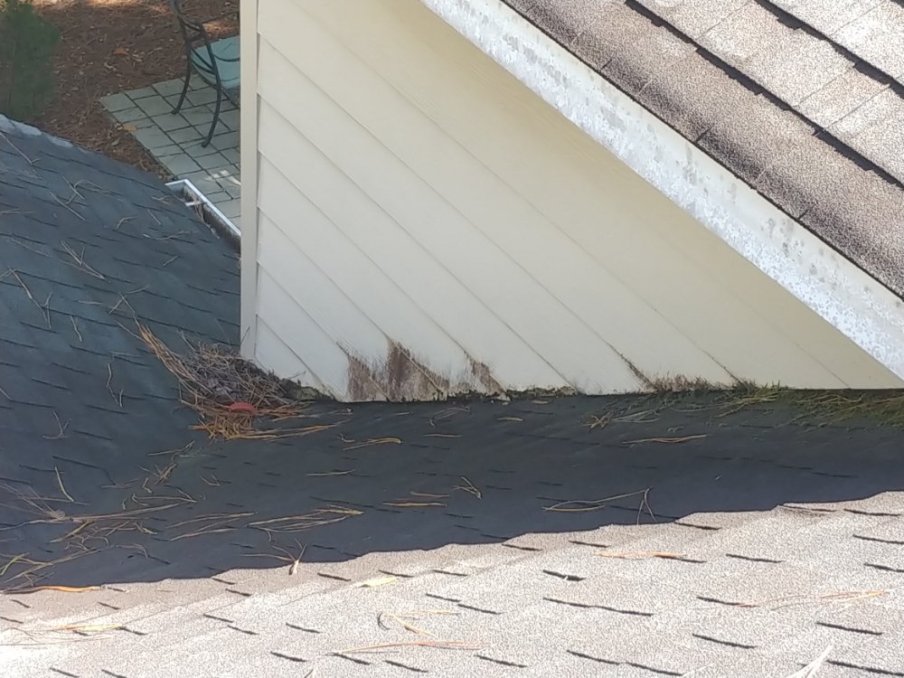 Pineywoods Inspections