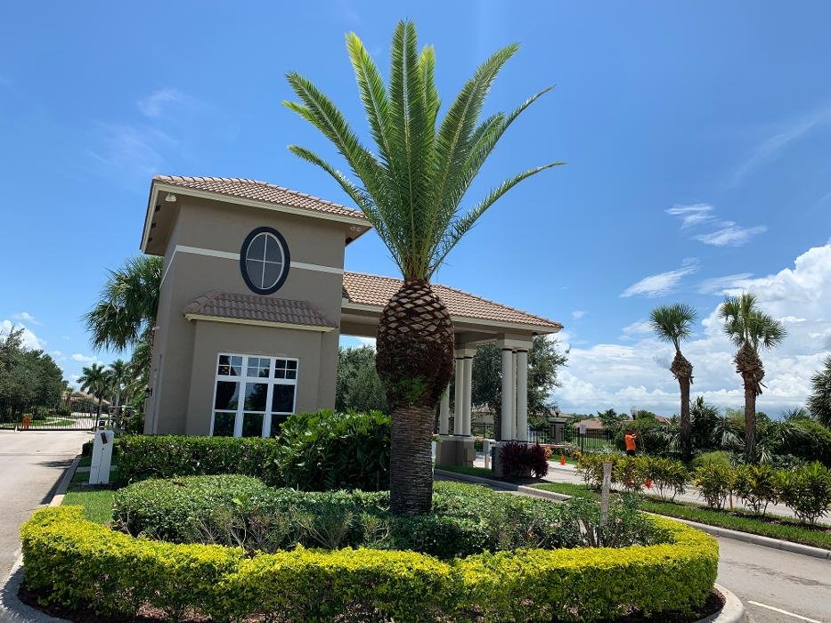 Greengold Tree Service