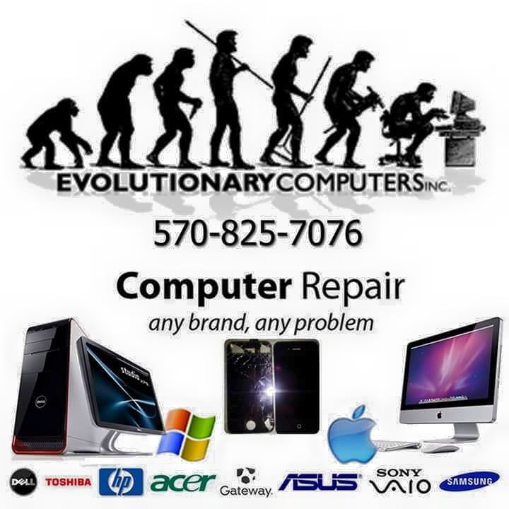 Evolutionary Computers
