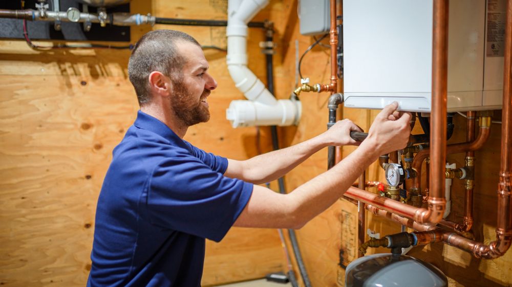 image of business Paul The Plumber