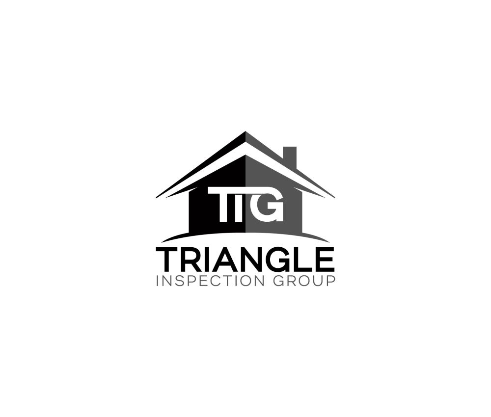 Triangle Inspection Group