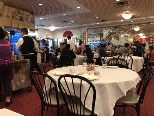 Fortune Wheel 411 Photos 309 Reviews Dim Sum 3601 Fortune Wheel 411 Photos 309