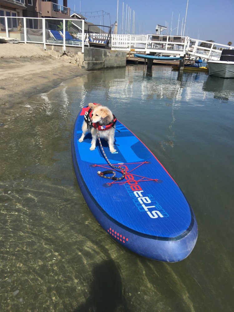 Long Beach Windsurf Kayak Center Gift Cards And Long Beach Windsurf Kayak Center Gift