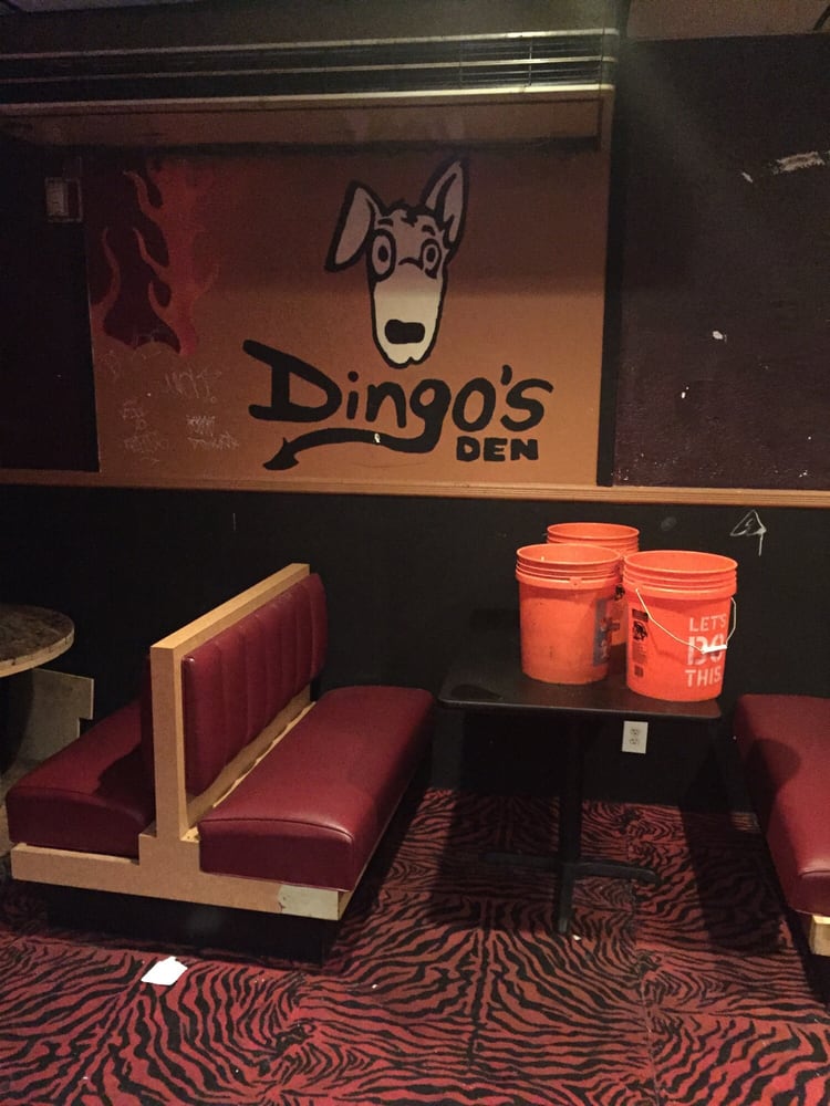 Dingo’s Den 14 Photos & 35 Reviews Dive Bars 615 Van Houten Ave, Clifton, NJ Phone