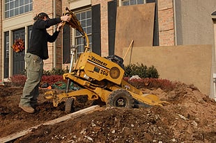Dave's Tree Service