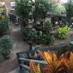 South Pleasantburg Nursery Landscape Garden Ctr 20 Photos Photo Of South Pleasantburg Nursery Landscape Garden Ctr Greenville Sc United States